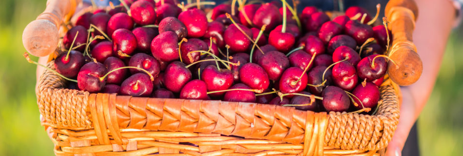 Cherry-in-basket