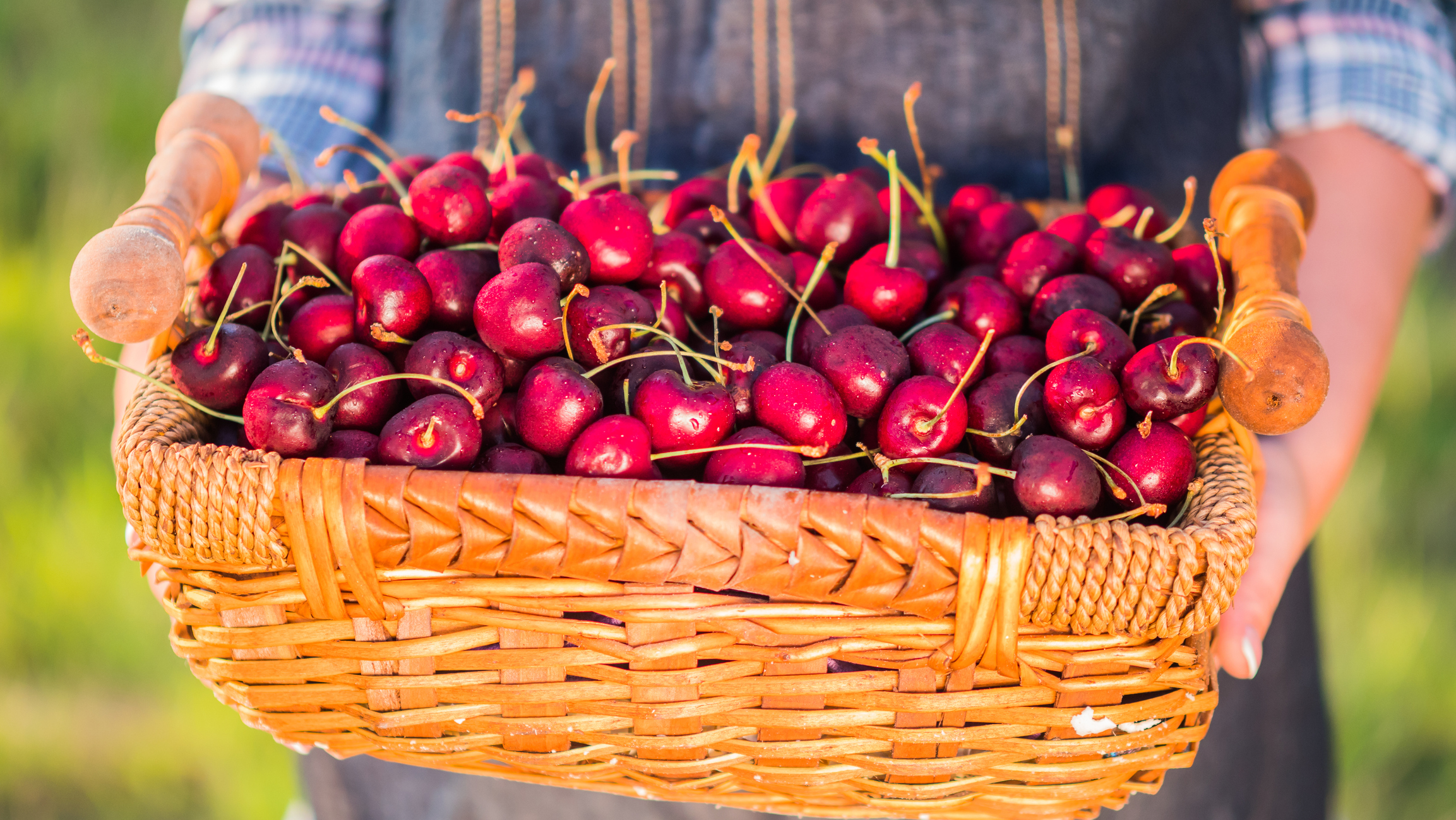 🍒 Surprise Your Loved Ones with Fresh American Cherries🍒 - Oritz
